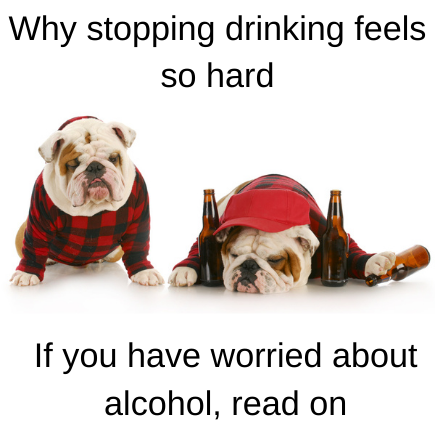 why does stopping drinking feel so hard