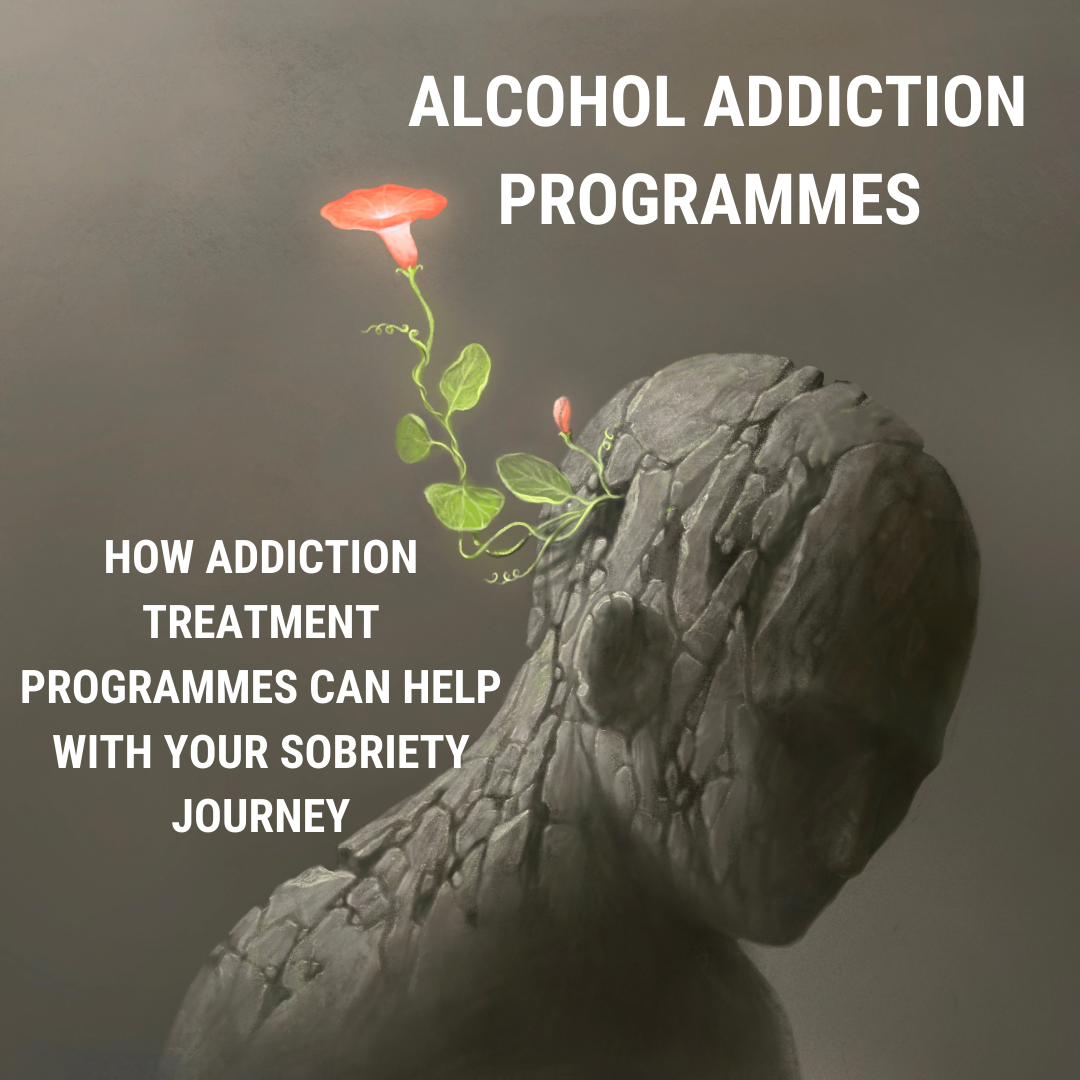 Alcohol Addiction Programmes